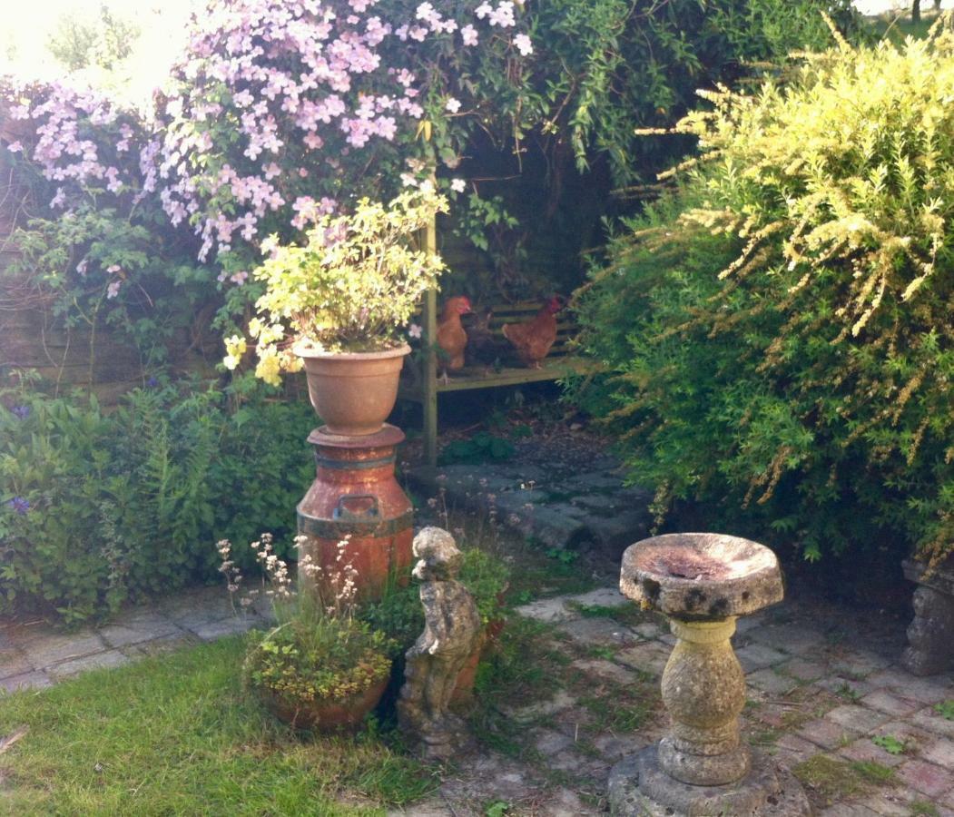 Five Saints Farmhouse B&B Pumpsaint Zewnętrze zdjęcie